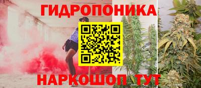 амф Назарово