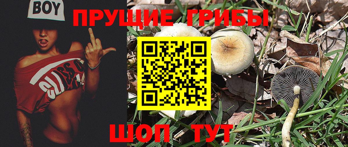 Псилоцибиновые грибы ЛСД Люберцы