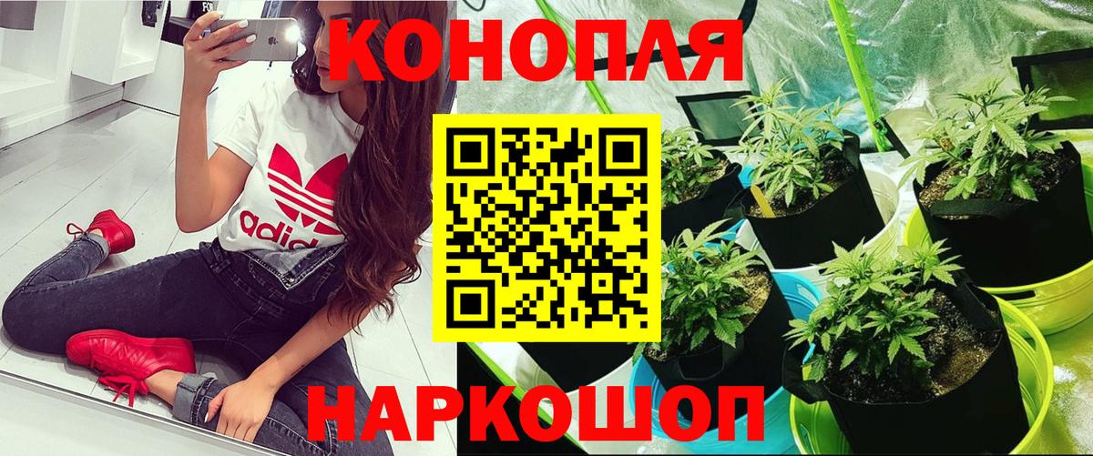 Марихуана планчик Люберцы